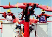 ����salisbury��Ե�߹ܺͻ���