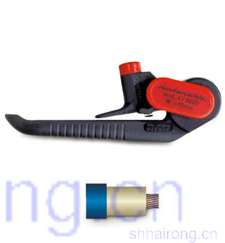 �ⱻ������