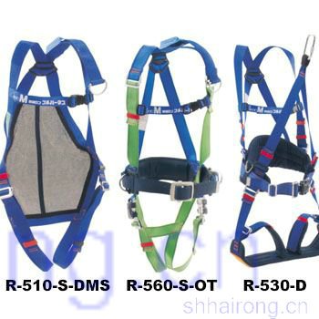 R5ϵ��ȫ��ʽ��ȫ��