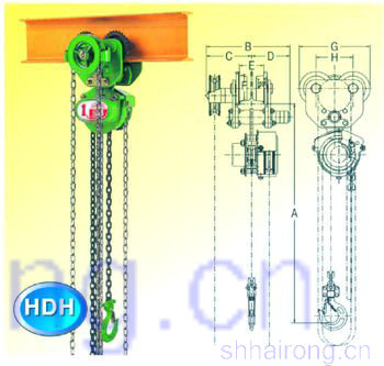 ���ʽ����������«